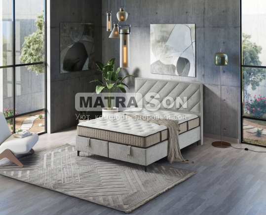  BRN ELEGANT ,   1 - matrason.ua