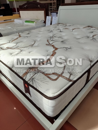  BRN  Flowery   ,   6 - matrason.ua