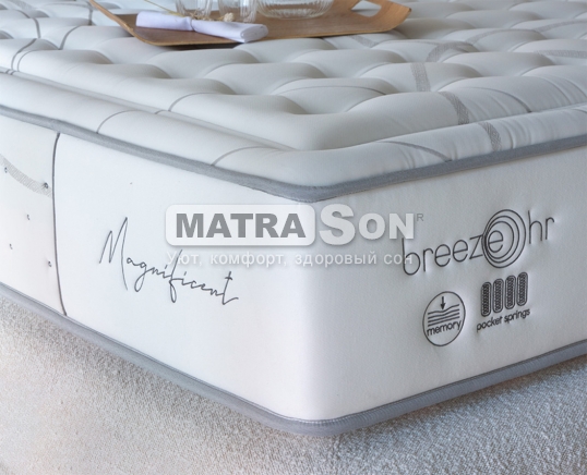  Karibian Magnificent () ,   4 - matrason.ua