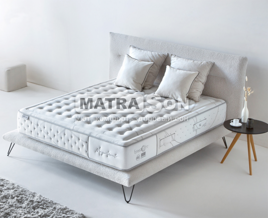  Karibian Magnificent () ,   1 - matrason.ua