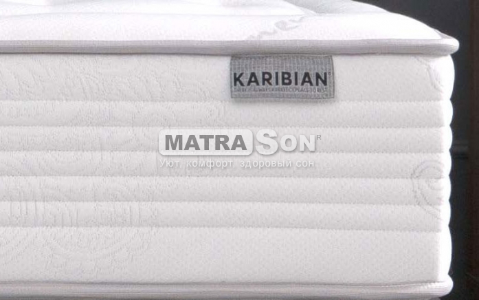  Karibian Solid cooler ( ) ,   3 - matrason.ua