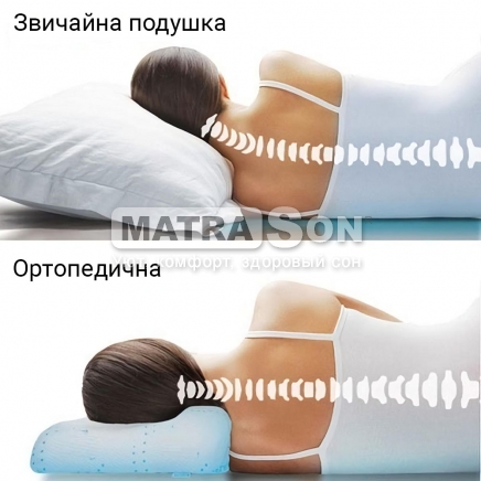   Family Sleep Memory Perfect ,   2 - matrason.ua